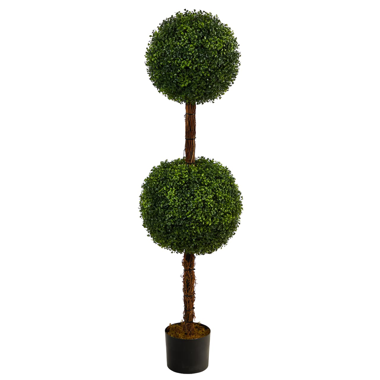 4.5ft. Potted Boxwood Double Ball Topiary Tree
